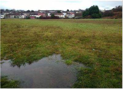 Integrating Artificial Urban Wetlands Into Communities: A Pathway to Carbon Zero?